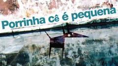 porrinha